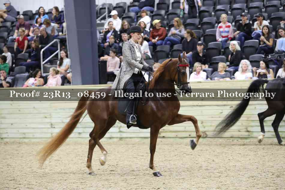 Proof 23R13_08459