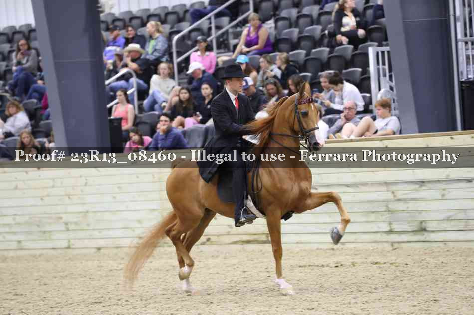 Proof 23R13_08460