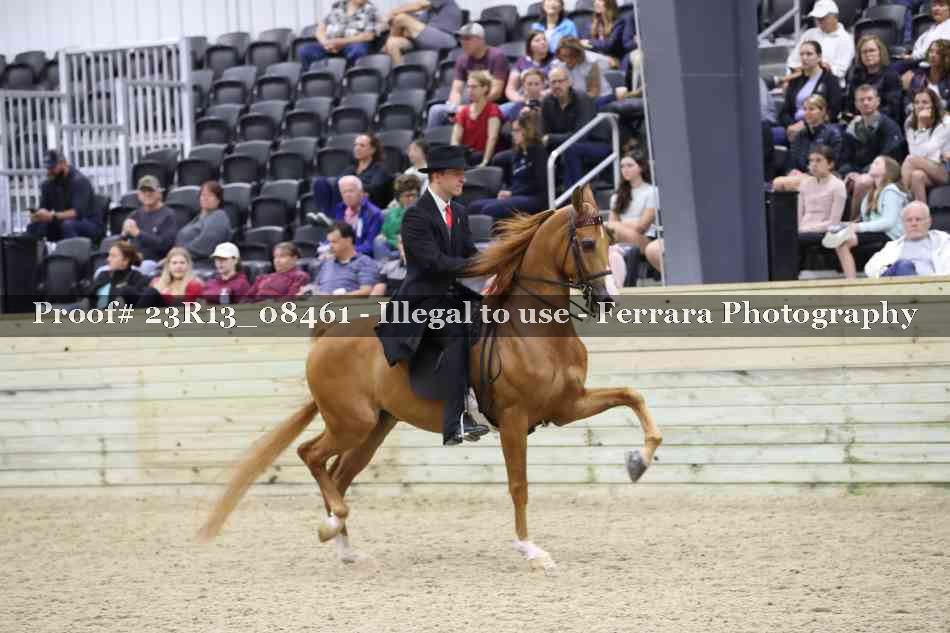 Proof 23R13_08461