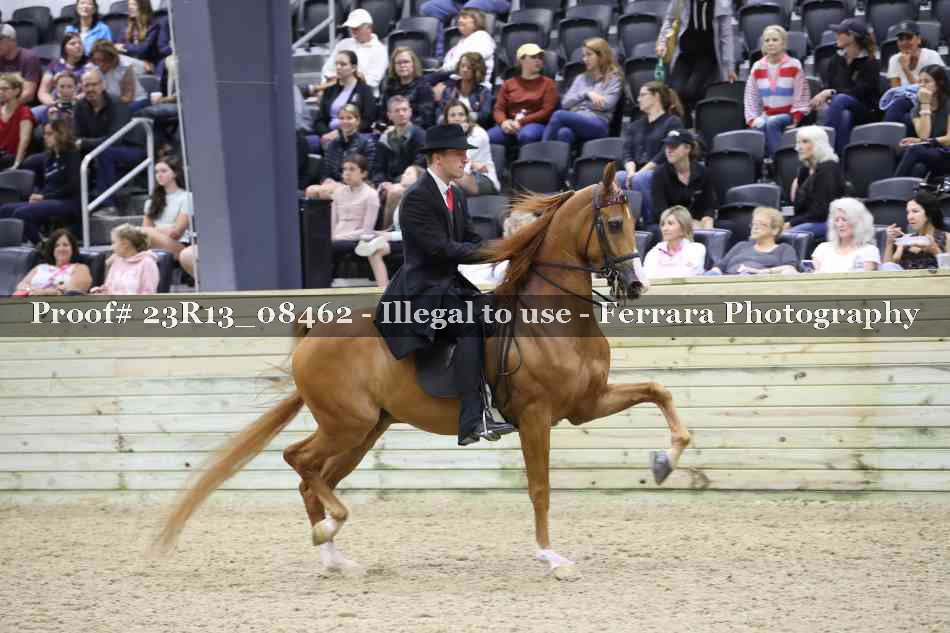 Proof 23R13_08462