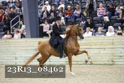 23R13_08462 proof