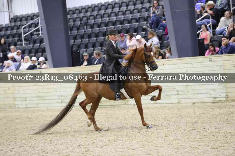Proof 23R13_08463