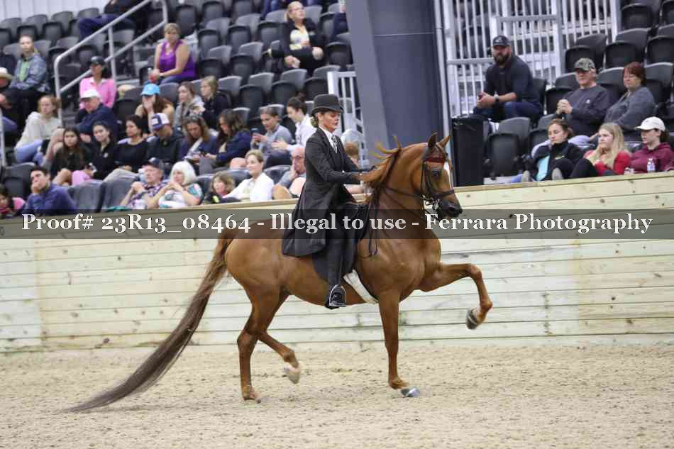 Proof 23R13_08464