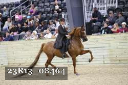 23R13_08464 proof