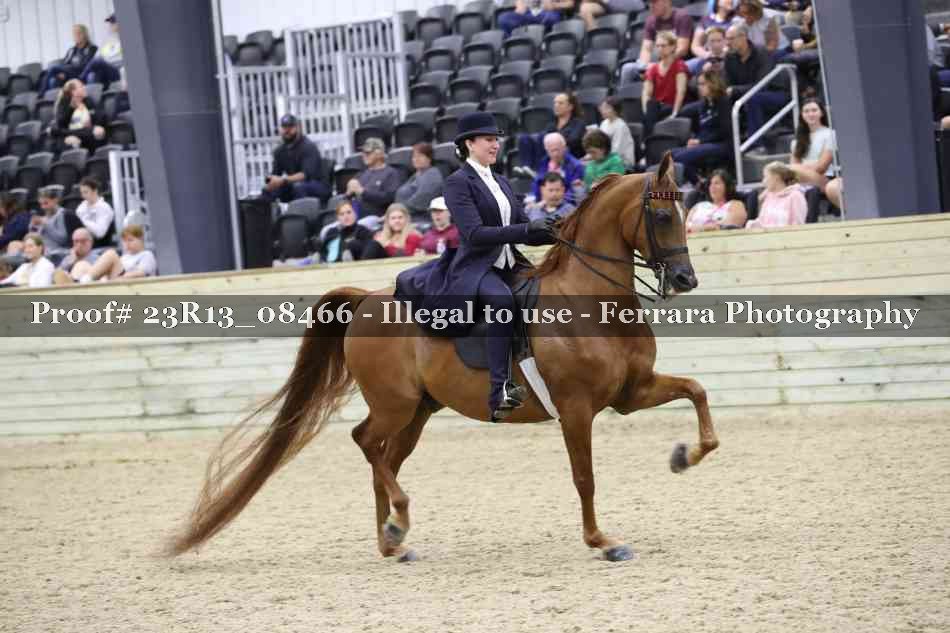 Proof 23R13_08466
