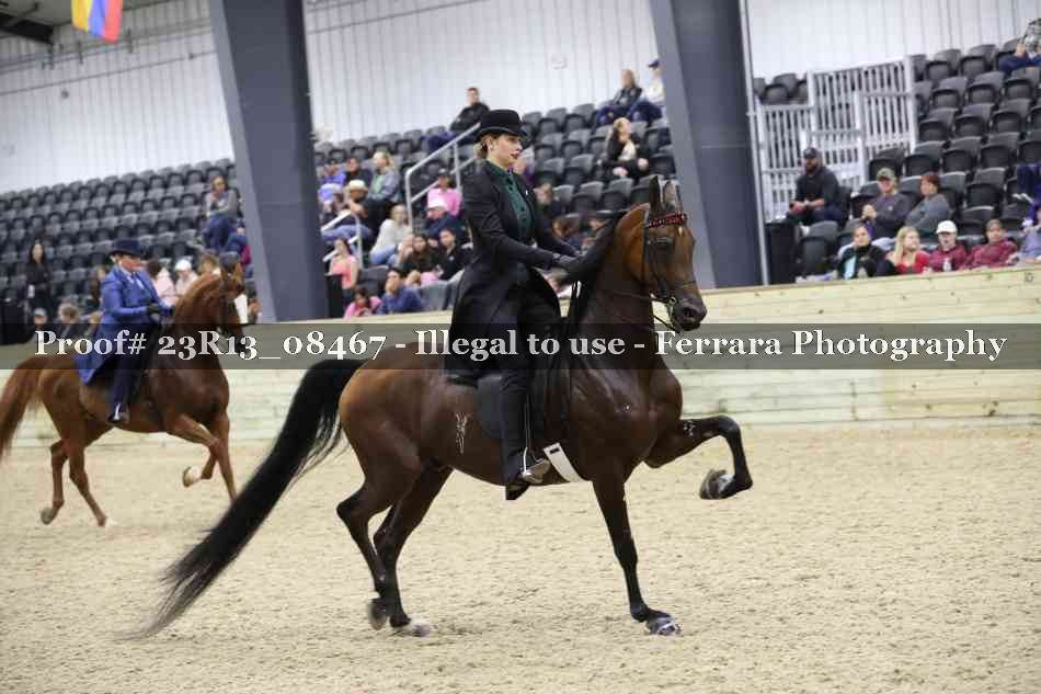 Proof 23R13_08467