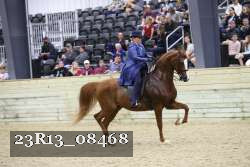 23R13_08468 proof