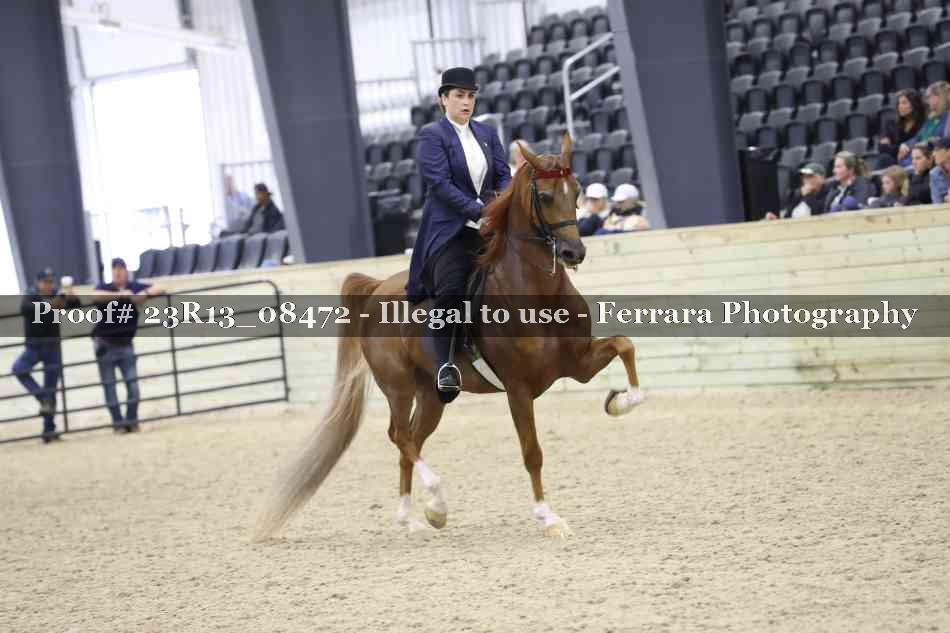 Proof 23R13_08472