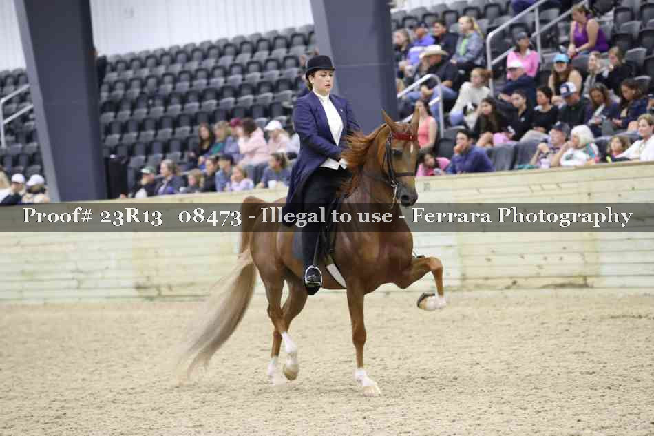 Proof 23R13_08473