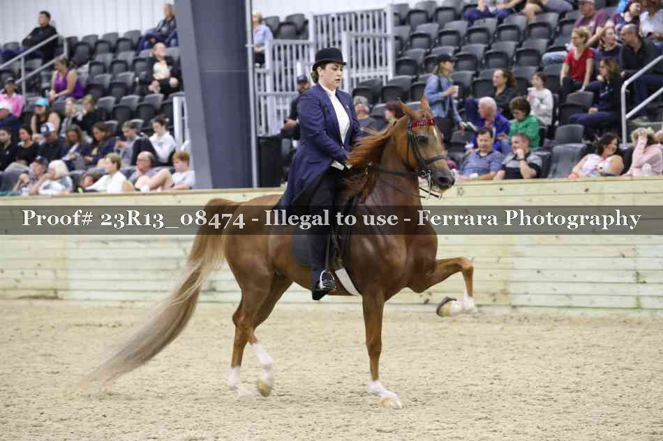 Proof 23R13_08474