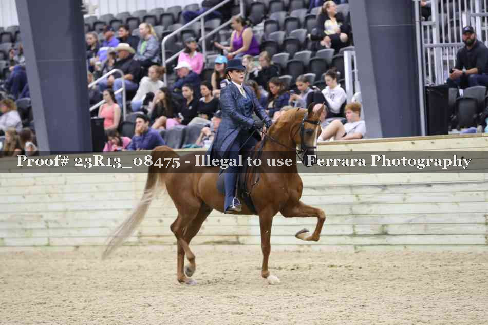Proof 23R13_08475