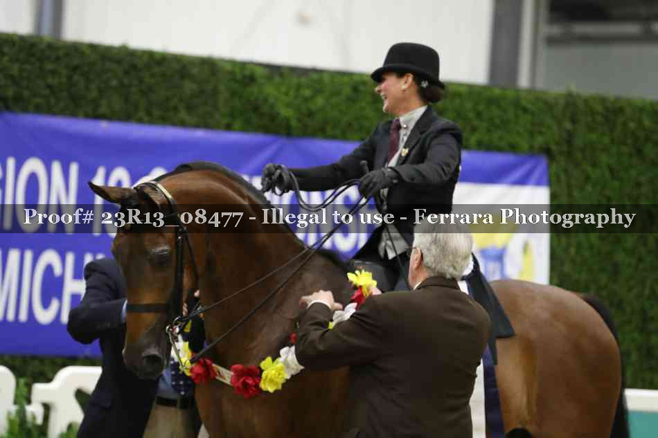 Proof 23R13_08477