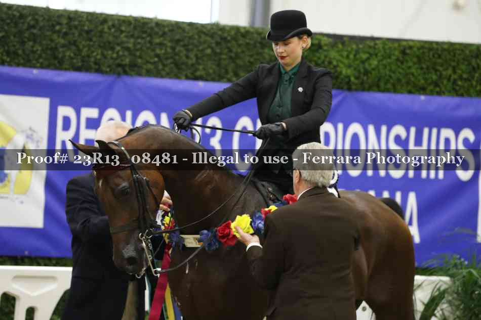 Proof 23R13_08481