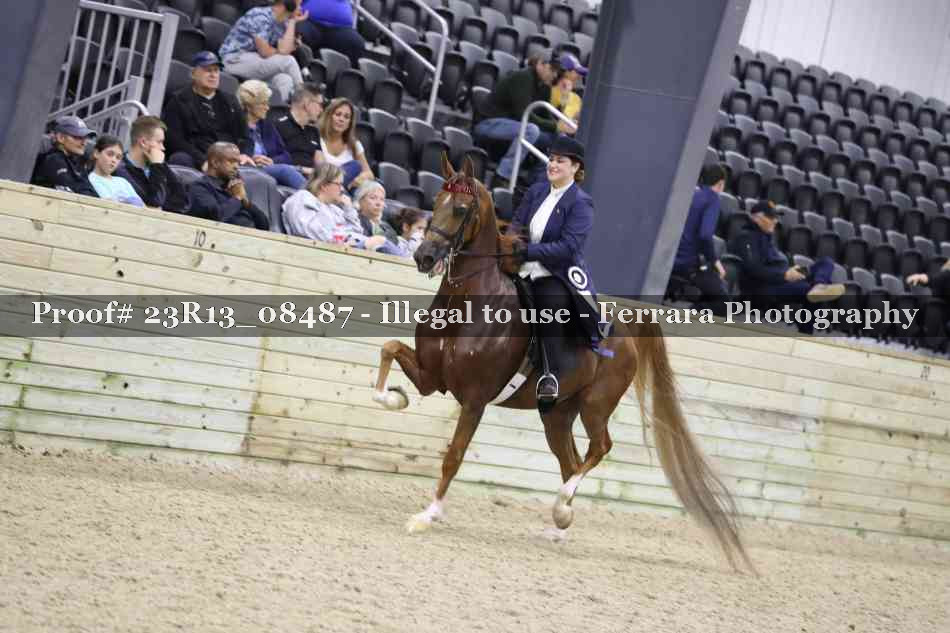 Proof 23R13_08487