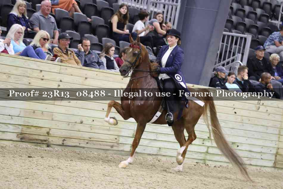 Proof 23R13_08488
