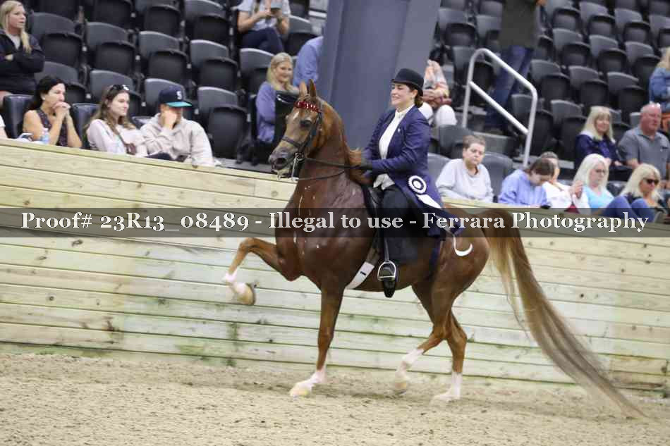 Proof 23R13_08489