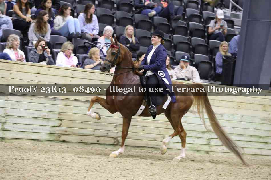 Proof 23R13_08490