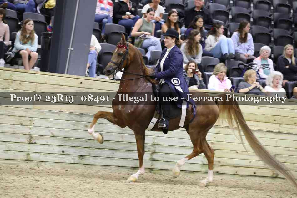 Proof 23R13_08491