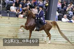 23R13_08492 proof