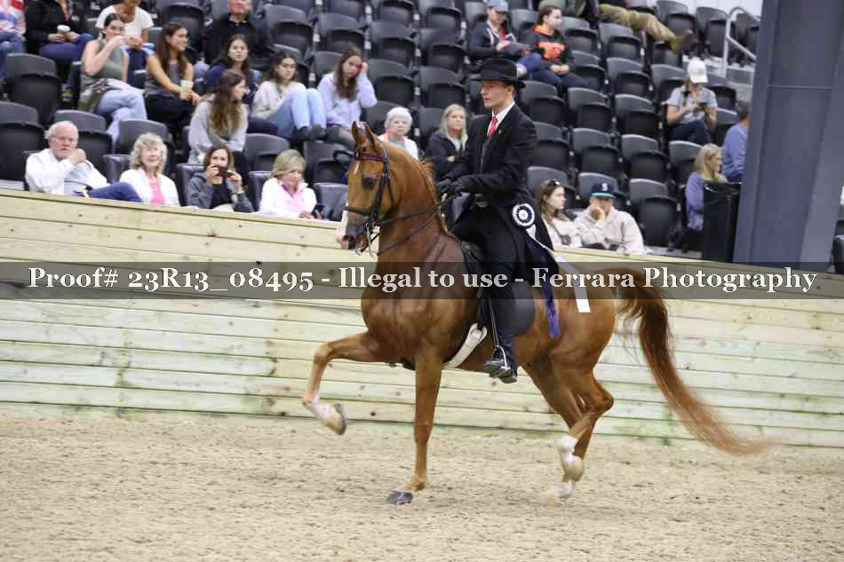 Proof 23R13_08495