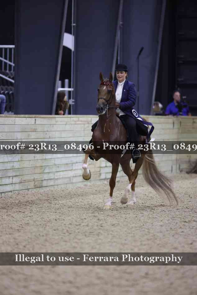 Proof 23R13_08496