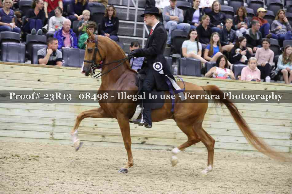 Proof 23R13_08498