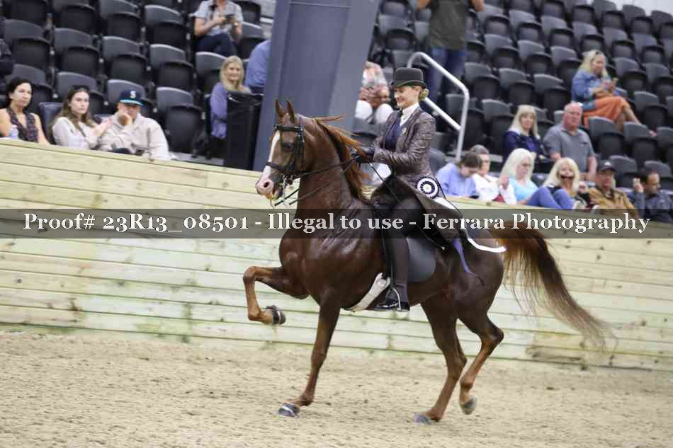 Proof 23R13_08501
