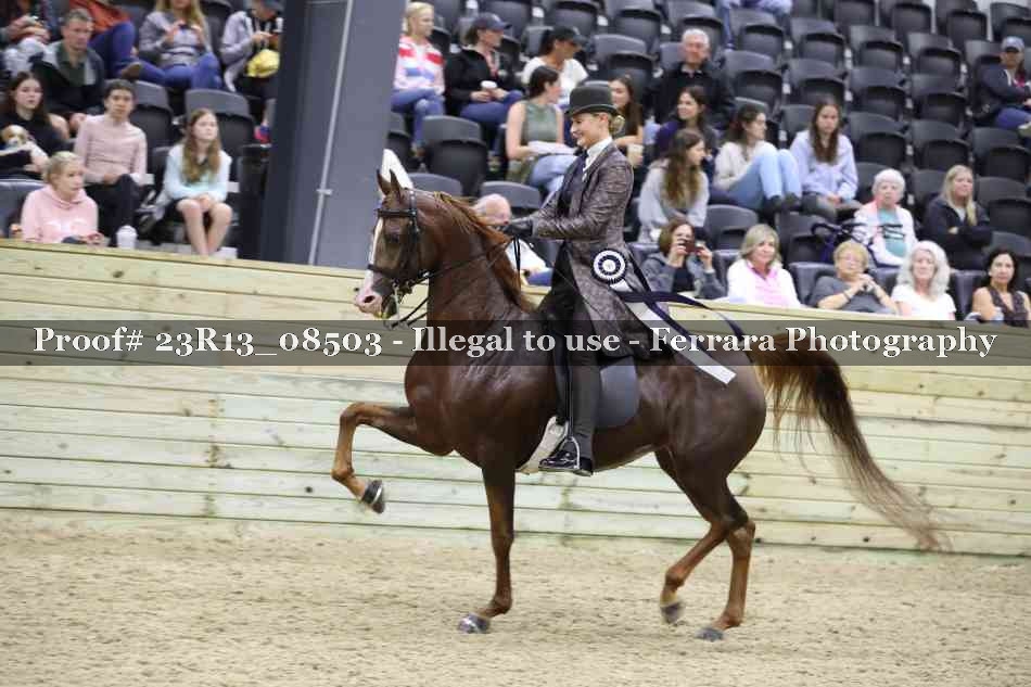 Proof 23R13_08503