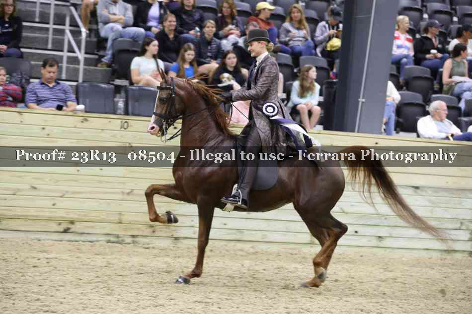 Proof 23R13_08504