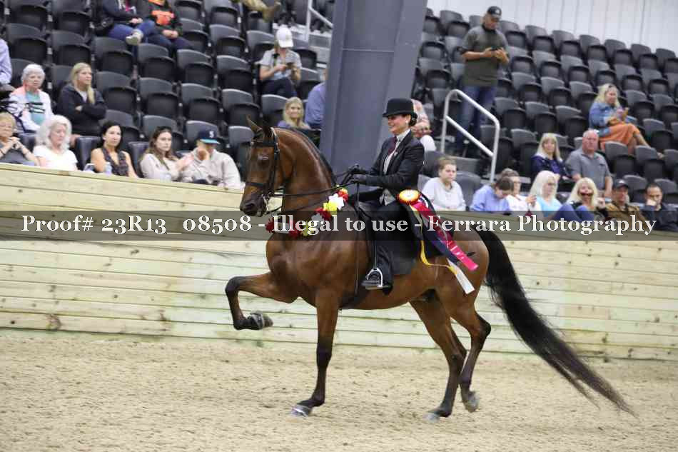 Proof 23R13_08508
