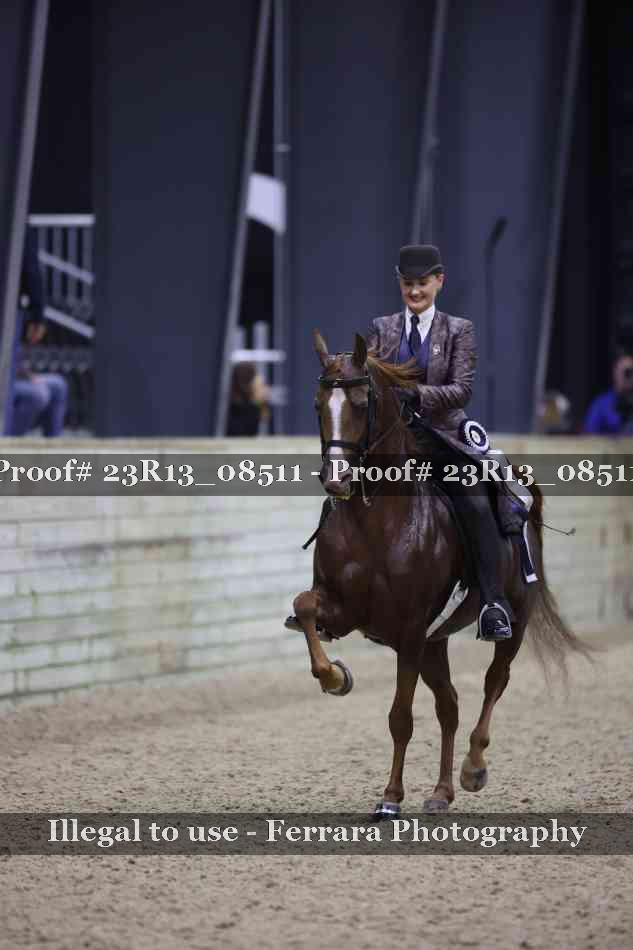 Proof 23R13_08511