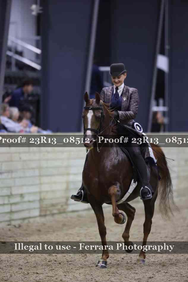 Proof 23R13_08512