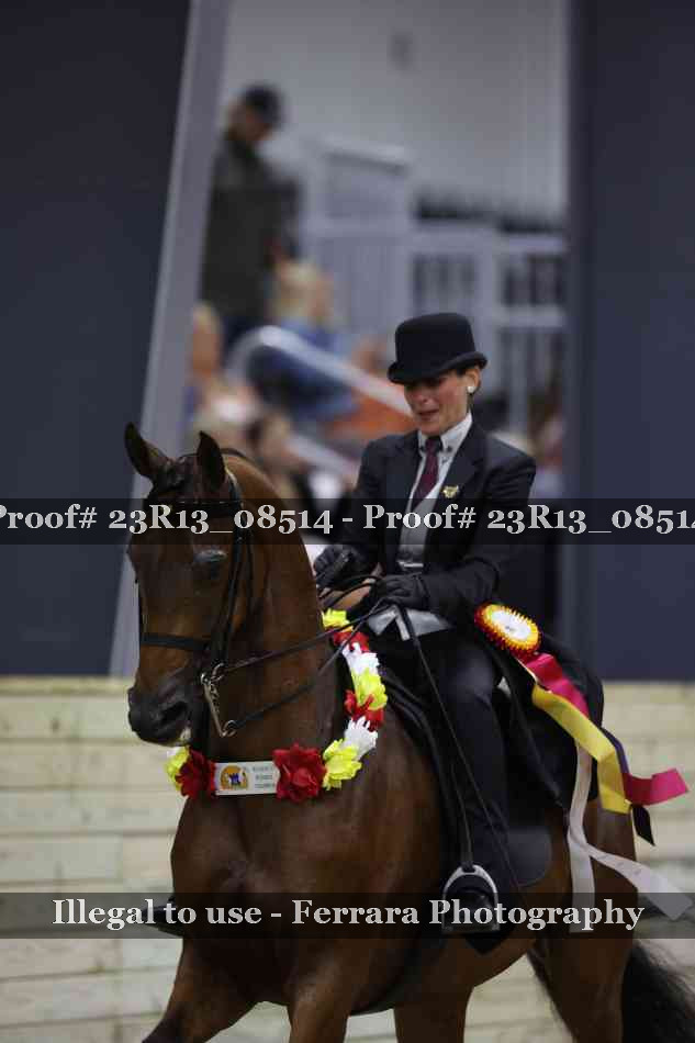 Proof 23R13_08514