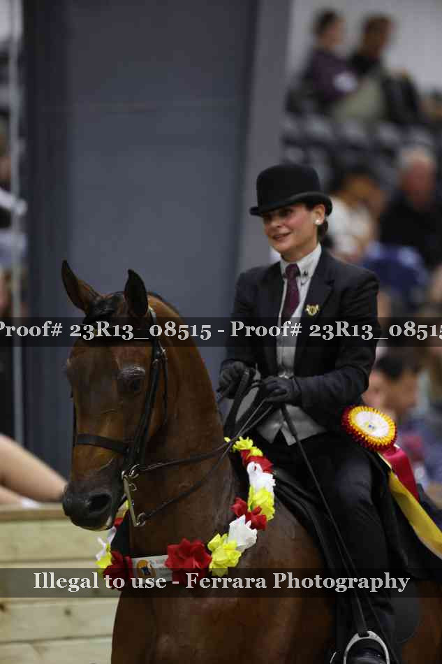 Proof 23R13_08515