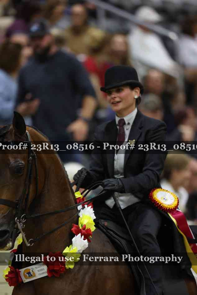 Proof 23R13_08516