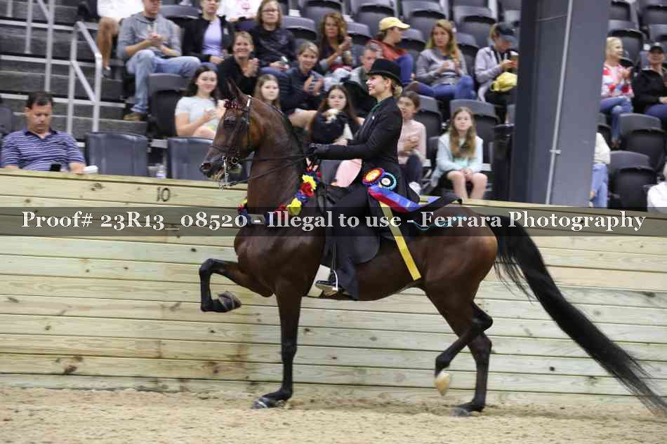 Proof 23R13_08520