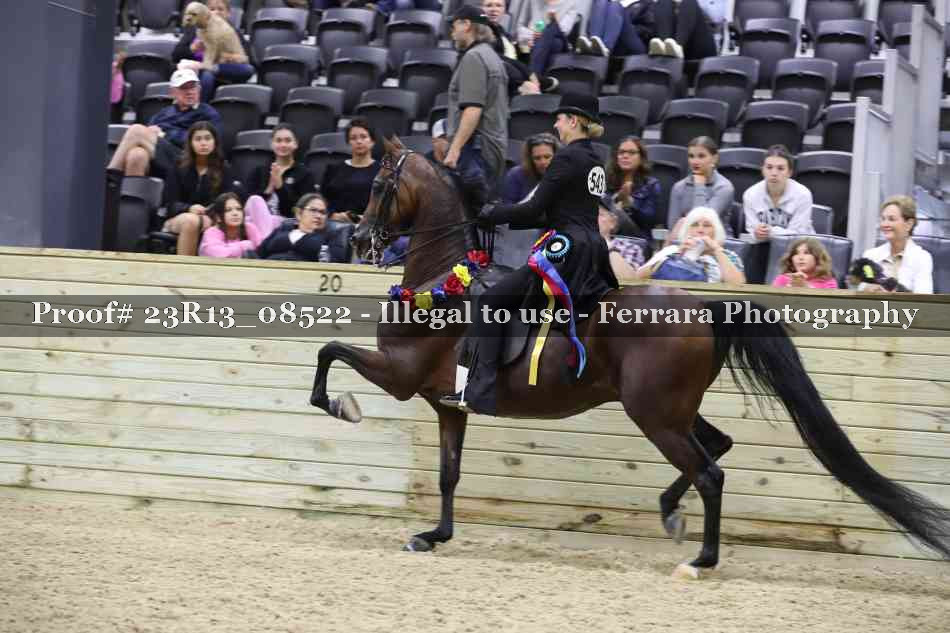 Proof 23R13_08522