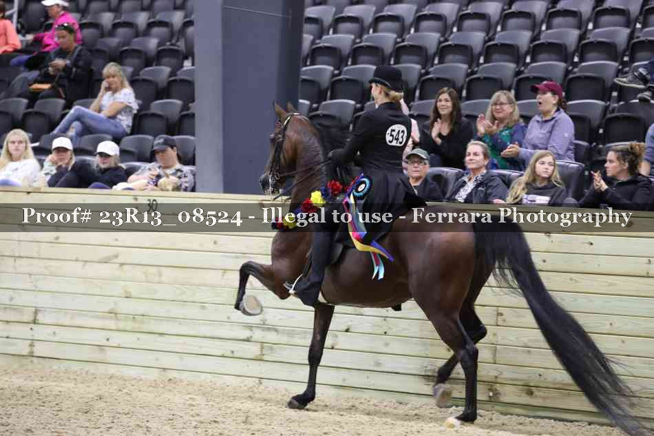 Proof 23R13_08524