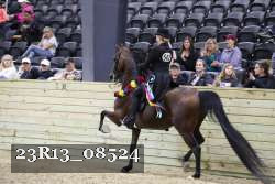 23R13_08524 proof
