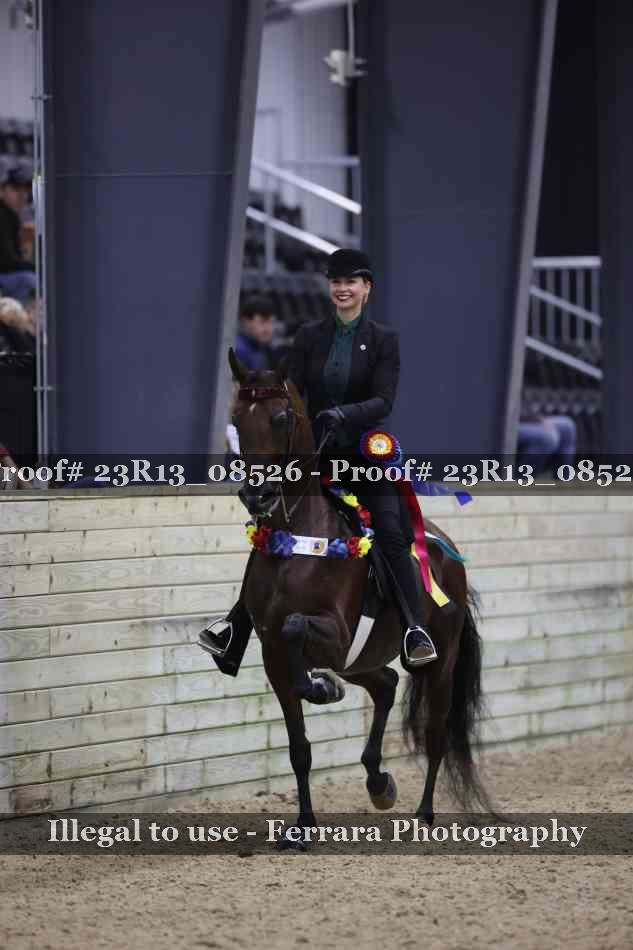 Proof 23R13_08526
