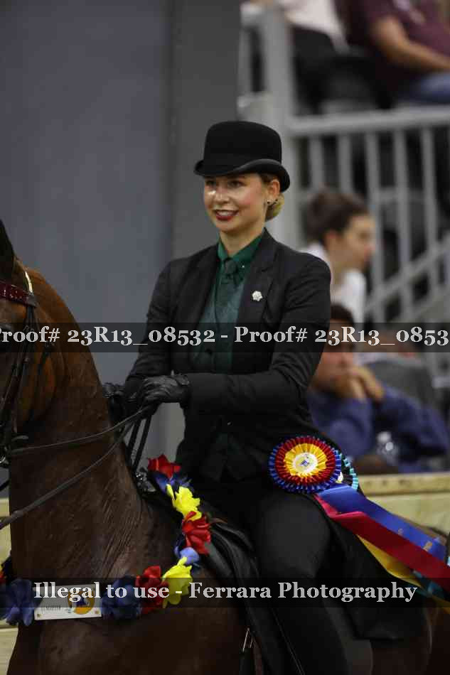 Proof 23R13_08532
