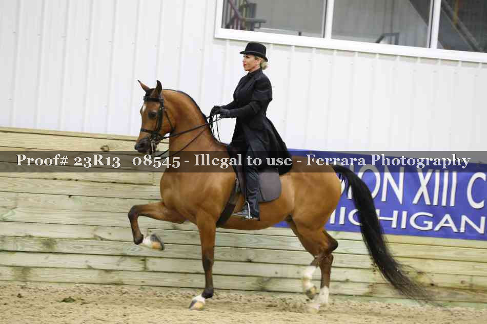 Proof 23R13_08545
