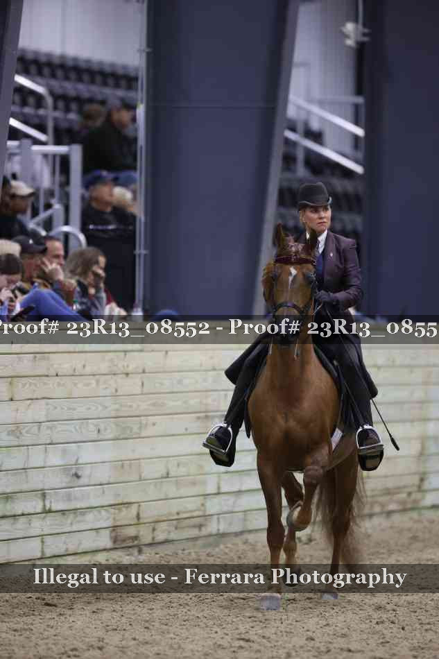 Proof 23R13_08552