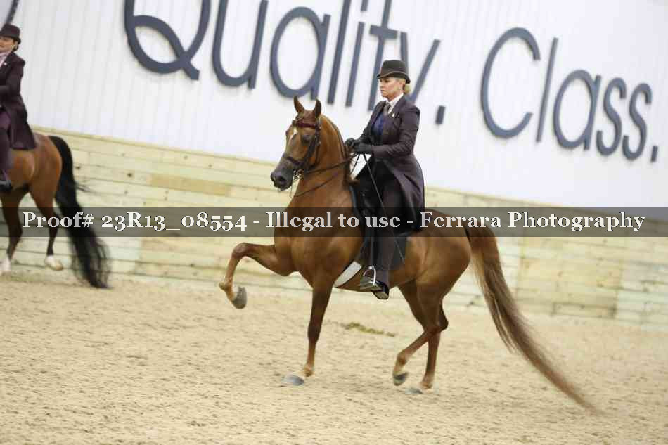 Proof 23R13_08554