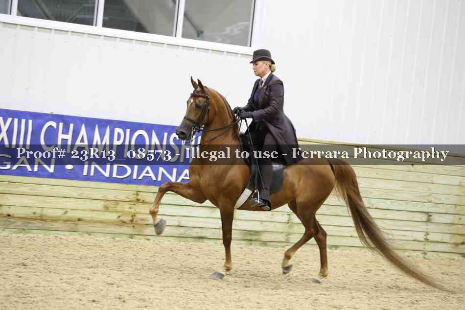 Proof 23R13_08573