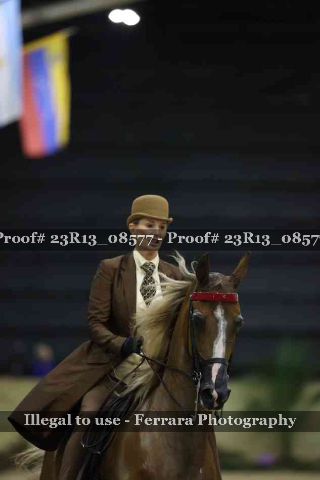 Proof 23R13_08577