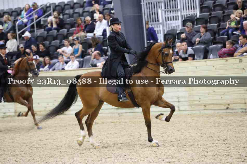 Proof 23R13_08588