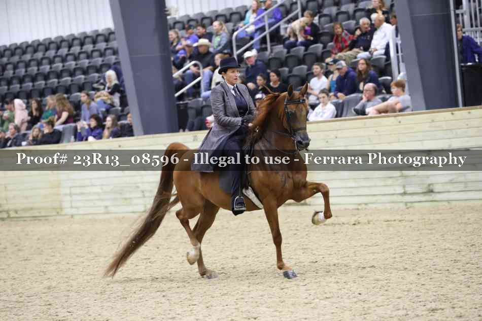 Proof 23R13_08596