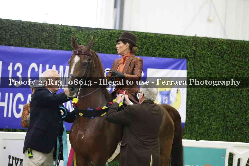 Proof 23R13_08613