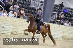 23R13_08628 proof